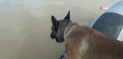 D&uuml;nyada sadece T&uuml;rkiye başarılı oldu