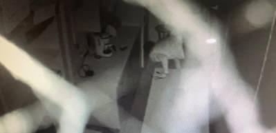 D&uuml;kkandan d&uuml;kkana akılalmaz soygun kamerada!