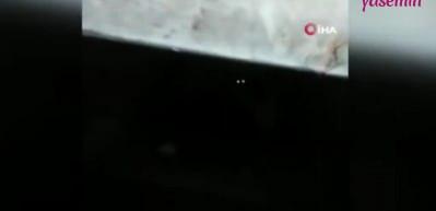 &Ccedil;&ouml;p konteynerine atılan kediyi temizlik g&ouml;revlisi kurtardı