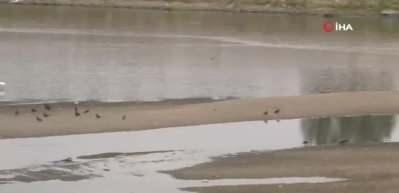 Hem Meri&ccedil; Nehri hem de Tunca Nehri kuruma noktasına geldi
