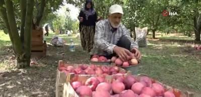 Dalında 1,5 TL ! İstanbul'daki rakam yok artık dedirtti
