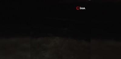 Deniz kıyısında midye yiyen su samuru kameraya yakalandı