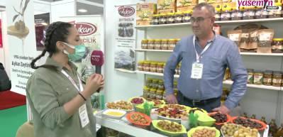 Ka&ccedil; &ccedil;eşit zeytin vardır? Kaliteli zeytin nasıl anlaşılır?