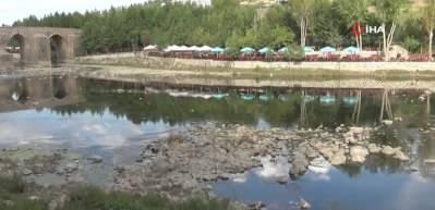 Dicle Nehri'nde balık &ouml;l&uuml;mleri vatandaşları tedirgin etti