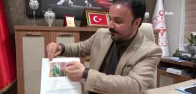 Giresun Sağlık İlk M&uuml;d&uuml;r&uuml; a&ccedil;ıkladı: Zehirli olan ıspanak değil, g&uuml;zelavrat otu!