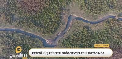 Göçmen kuşların uğrak mekanı Efteni Kuş Cenneti doğaseverlerin de rotasında