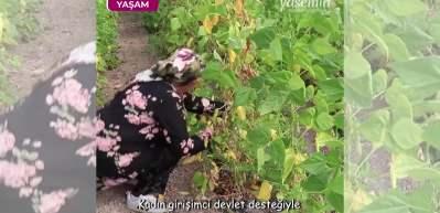 Kadın girişimci devlet desteğiyle b&uuml;y&uuml;tt&uuml;ğ&uuml; serasında sebze &uuml;retiyor
