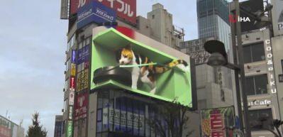 Tokyo'daki 3 boyutlu kediye eğlence &ccedil;ıktı