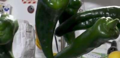 Taco yaptılar! Uzayda yetiştirilen biberler g&ouml;r&uuml;nt&uuml;lendi