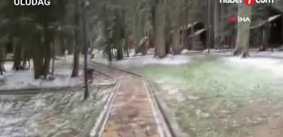 Meteoroloji'den kar ve yağmur uyarısı