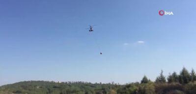 PKK talimatıyla 5 kez orman yakmıştı: İstenen ceza belli oldu!