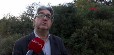 G&ouml;renler g&ouml;zlerine inanamadı! Sarıyer'de ormanda kesilmiş atlara ait par&ccedil;alar bulundu