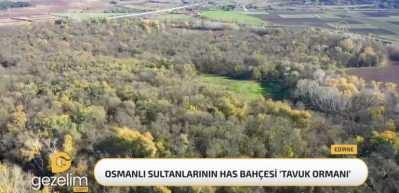  Osmanlı sultanlarının has bahçesi: Tavuk Ormanı