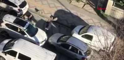 Ters y&ouml;nden gelen s&uuml;r&uuml;c&uuml;n&uuml;n saldırısı kameralara yansıdı