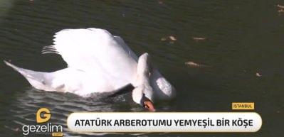 Atatürk Arboretumu’na sonbahar çok yakıştı