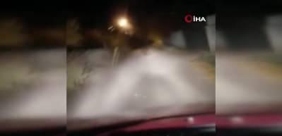 Erzincan&rsquo;da k&ouml;y&uuml;n i&ccedil;ine giren ayı g&ouml;r&uuml;nt&uuml;lendi