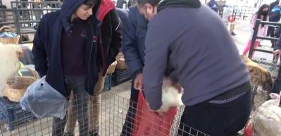 K&ouml;y tavuğu satışları patladı