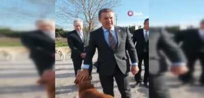 Mustafa Sarıg&uuml;l: 'Sokak hayvanlarına sahip &ccedil;ıkalım, kısırlaştıralım yerinde yaşatalım'