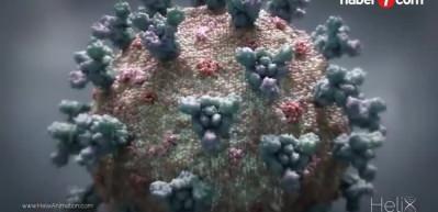 ABD'de Omicron'dan ilk &ouml;l&uuml;m!