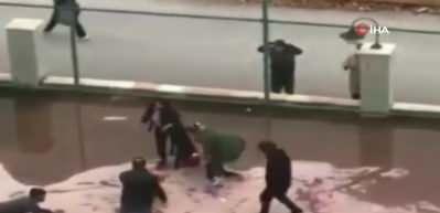 Gaziantep'teki pitbull dehşeti sonrası Erdoğan'dan talimat! Doktordan a&ccedil;ıklama