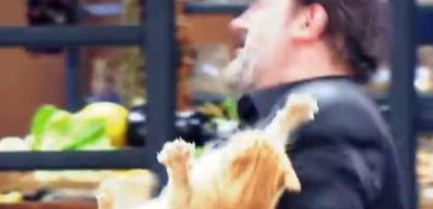 MasterChef T&uuml;rkiye 142. b&ouml;l&uuml;m fragmanı! St&uuml;dyoya giren kedi...