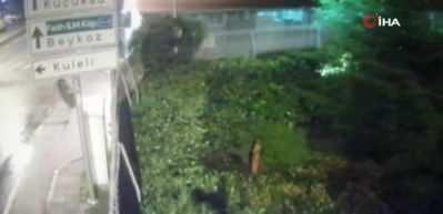 Aleyna Tilki'nin evine girmeye &ccedil;alıştı! Saplantılı hayran kamerada