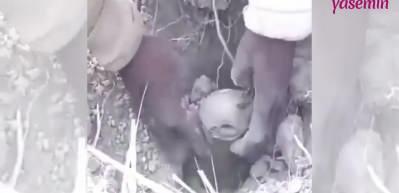 Bu balığı g&ouml;renler şaşkına d&ouml;nd&uuml;! Toprağın altında...