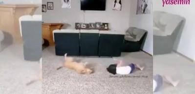 K&uuml;&ccedil;&uuml;k kızın k&ouml;peğiyle yaptığı spor sosyal medyayı salladı