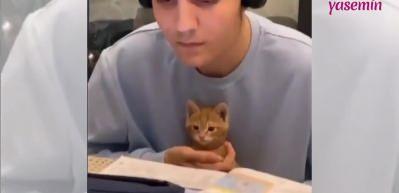 Dersi dinleyen kedi izleyenlerin i&ccedil;ini ısıttı