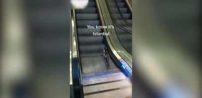 Kedinin y&uuml;r&uuml;yen merdivenlerle imtihanı g&uuml;ld&uuml;rd&uuml;