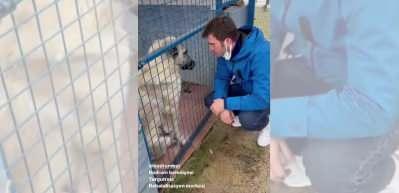 Kıvan&ccedil; Tatlıtuğ ve 4 aylık hamile eşi Başak Dizer'den hayvanlara anlamlı ziyaret