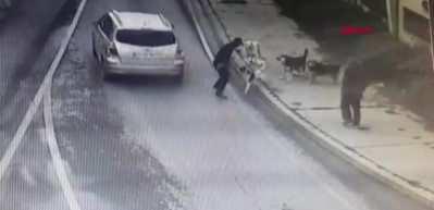Sokak k&ouml;peği dehşeti! İş adamı canını zor kurtardı