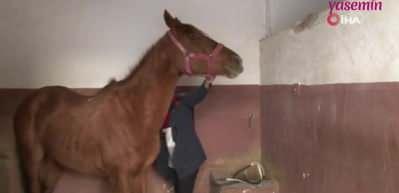 Elazığ'ın tek kadın seyisi oldu! Yapamayanlara inat...