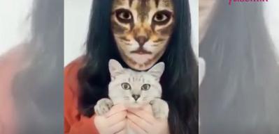 Y&uuml;z filtresine kedilerin verdiği tepkiler sosyal medyayı salladı