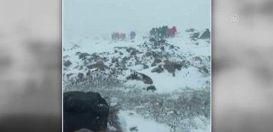 Ağrı Dağı'na tırmanan İranlı dağcılara kar ve tipi engeli