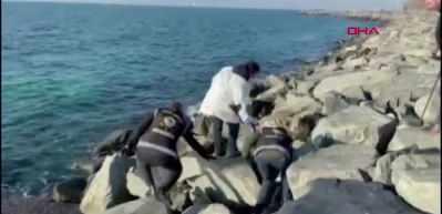 Şafak Mahmutyazıcıoğlu cinayetinde kullanılan silah bulundu