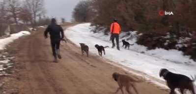 220 kiloluk domuz, avcıya saldırdı