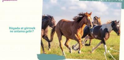 R&uuml;yada at g&ouml;rmek ne anlama gelir? 