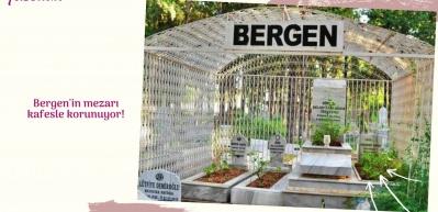 Bergen'in mezarı kafesle korunuyor!