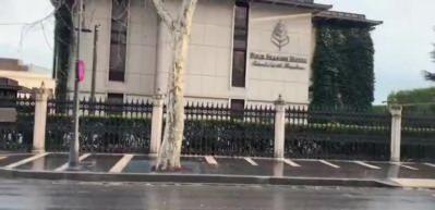 CHP'li İBB, asırlık &ccedil;ınar ağa&ccedil;larını reklam panosu i&ccedil;in mi kesti?