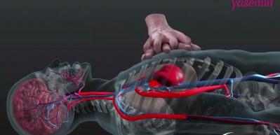 Kalp masajıyla (CPR) beyne nasıl kan pompalanır?