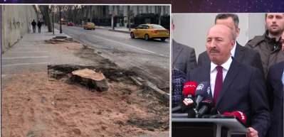&Ccedil;ırağan Caddesinde kesilen 112 ağa&ccedil; i&ccedil;in İBB'ye ceza verildi
