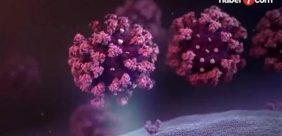 Profes&ouml;rden uyarı! Daha k&ouml;t&uuml; varyant gelmeyecek!