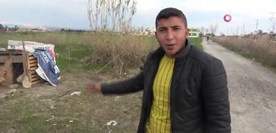 Horoz 'Anne' diye bağırmaya başlayınca kesilmekten kurtuldu