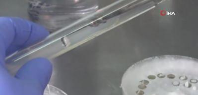 T&uuml;rkiye&rsquo;nin ilk yerli ve milli mantar &ccedil;eşitleri tescillendi