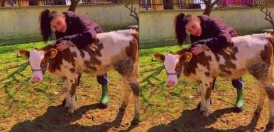 Ceylan Ertem kendini k&ouml;y hayatına adadı! G&ouml;renler hayran kaldı
