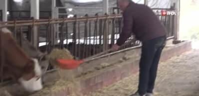 Muharrem İnce&rsquo;den ahırda basın toplantısı