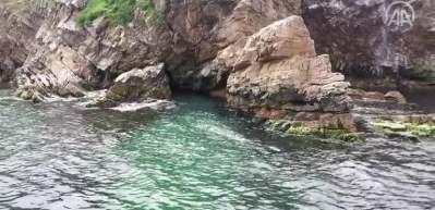 Adalar'da Akdeniz foku mağarası tespit edildi