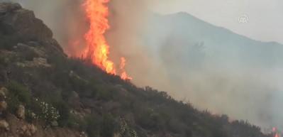 Bodrum'da korkutan yangın: Sabotaj ihtimali var