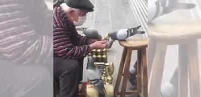 Ayakkabı boyacısı yaşlı amcanın g&uuml;vercinlere olan merhameti sosyal medyaya damga vurdu!